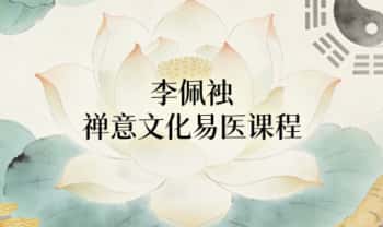 李佩袀（妙善）《禅意文化易医课程》视频16集