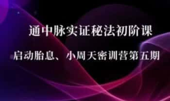 青青老师《通中脉实证秘法初阶-启动胎息、小周天密训营》视频课37集