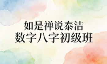 如是禅说讲堂-泰洁《数字八字初级班》14集视频