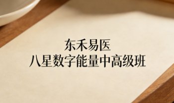 东禾易医《八星数字能量》中高级班 视频课57集