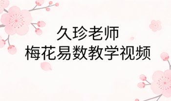 久珍老师《梅花易数》教学视频30集