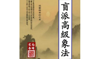 陈朝阳《盲派高级象法》象法大成精华版258页.PDF电子版
