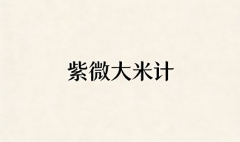 《紫微大米计》86页.PDF电子版