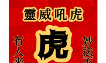 松韵道人《虎门天正法》1-18期法本合集189页.PDF电子版