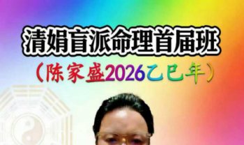 杨清娟嫡传弟子陈家盛《乙巳年清娟盲派命理首届班》226页+视频55集