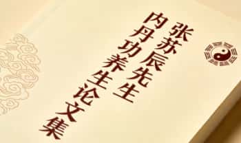 张苏辰先生《内丹功养生论文集》(26篇版）204页.PDF电子版