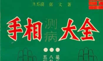 洪丕谟 张文《手相测病大全》274页.PDF电子版