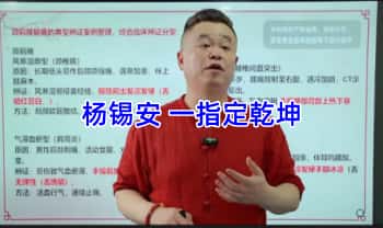 杨锡安《一指定乾坤》视频9集