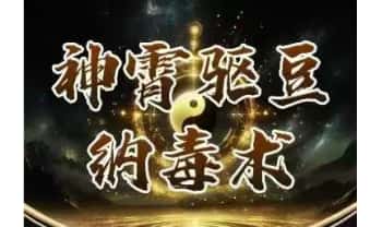 张东方张道长《神霄驱豆纳毒术》视频12集