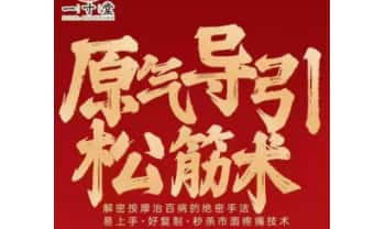 一寸堂 荆秋雨《原气导引松筋术(立竿见影)》视频39集