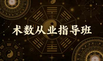 《术数从业指导班》视频课+音频课 共29节