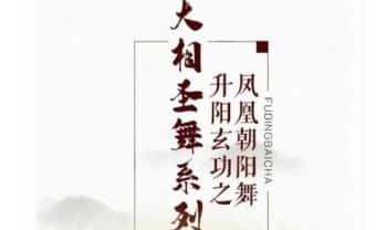 洞玄《大相圣舞 升阳玄功之凤凰朝阳舞 30天带修》23集视频