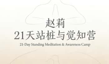 赵莉《21天站桩与觉知营》视频23集