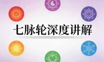 直觉超强的骆驼《七脉轮深度讲解》视频课10集