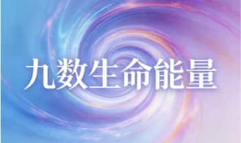 《九数生命能量～洞‮命悉‬运潜藏玄机》视频课31集