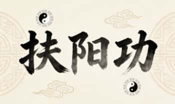 谭健康 道家养生《扶阳功》视频课19集