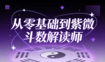《绽放星空能量：从零基础到紫微斗数解读师》视频课100集