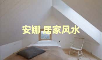 Anna-安娜《环境科学》居家风水重点课程 视频8集