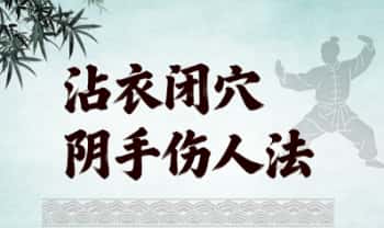 邵发明《沾衣闭穴阴手伤人法》19页.PDF电子版