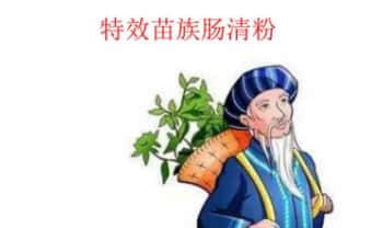 秘方《特效苗族肠清粉》电子文档