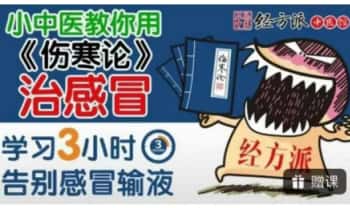 经方治感冒《愤怒的小中医》零基础 视频课5集