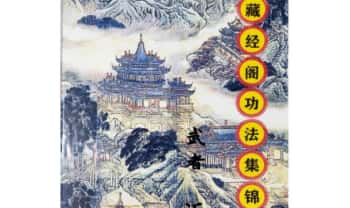 《藏经阁功法集锦》738页.PDF电子版