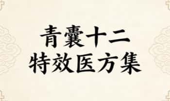 《青囊十二特效医方集》9页电子文档