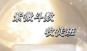 旺旺屋竹竹老师《紫微斗数收徒班完整版》56集视频