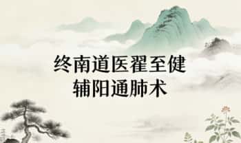 终南道医翟至健老师《辅阳通肺术》鼻炎咽喉痛咳嗽结节 视频课21集