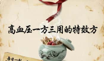 高血压一方三用的特效方 袋装茶方 电子文档