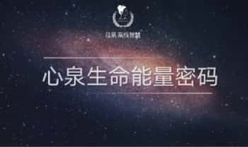吕老师【心泉数字密码】视频课39集