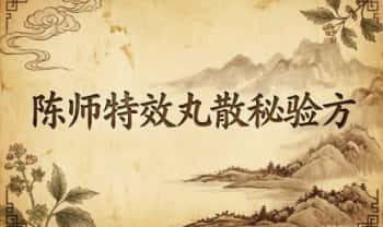 《陈师特效丸散秘验方》23页.PDF电子版