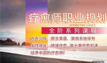 安珊【私人定制高阶课程】疗愈师职业规划课程：培养中国的疗愈师 合集