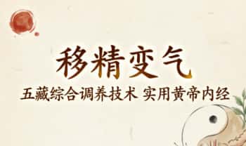 《移精变气 五藏综合调养技术 实用黄帝内经》视频11集