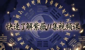 清合《快速了解紫微》视频课11集