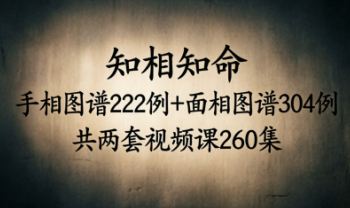 知相知命《手相图谱222例+面相图谱304例》共260集两套视频课