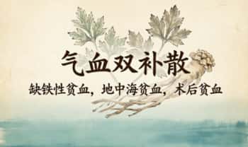 秘方《气血双补散各种贫血》电子文档