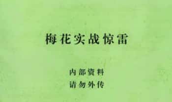 张永杰 顶级实战《梅花实战惊雷》438页.PDF电子版