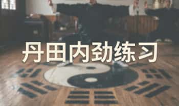 《丹田内劲练习》视频课4集