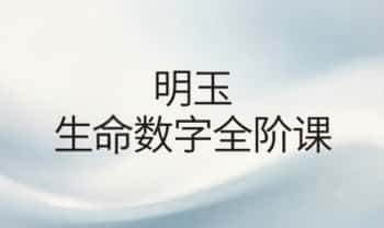 心禾文化 明玉《生命数字全阶课》视频27集