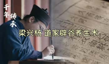 梁兴杨《道家辟谷养生术》 6集视频+课件（梁兴扬）