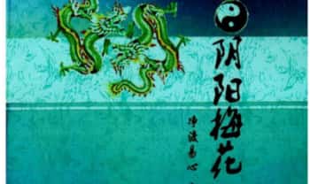 《阴阳梅花》143页.PDF电子版