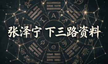 张泽宁《下三路资料》5集视频+文档