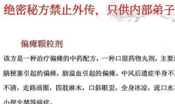 秘方《偏瘫颗粒剂方》电子文档