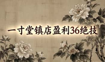 一寸堂《镇店盈利36绝技》理疗必学 视频课36集