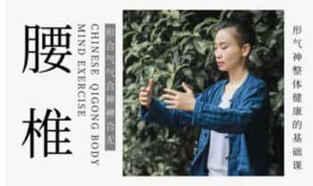 施莹《腰椎肾气锦囊》9集视频课