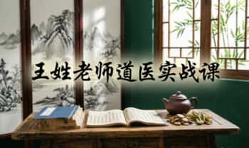 王姓老师《道医实战课》50集视频