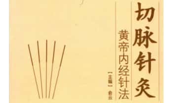 《切脉针灸 黄帝内经针法》205页.PDF电子版