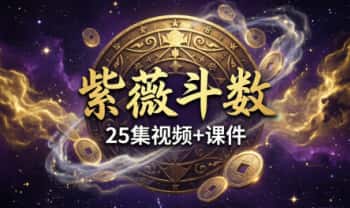 午阳《紫薇斗数》25集 视频+课件