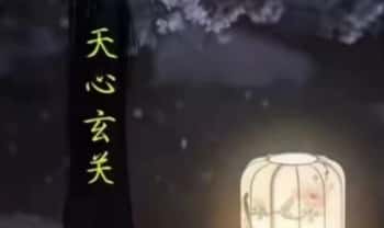 《天心玄关》生命智慧视频5集